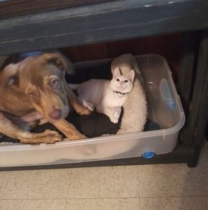 Meet your Posher, Christopher